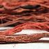 Sari Ribbon - Coral/Salmon