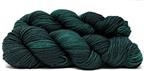 MERINOSAURUS worsted - Brachiosaurus